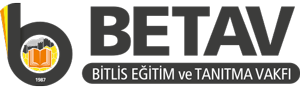 betav-logo300